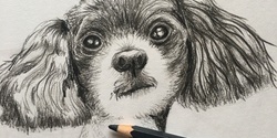 Banner image for Pet Portraits with Marloes (Online)