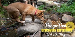 Banner image for Dingo Den Discovery Experience