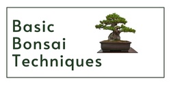 Banner image for Basic Bonsai Techniques