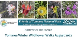 Banner image for Tomaree Winter Wildflower Walks