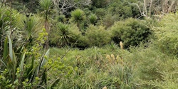 Banner image for Exploring Ōpoutūkeha Cox’s Creek