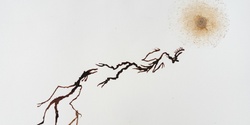 Banner image for Searching winds and natural processes - Artist talk with Matilda Nona