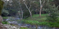 Banner image for ASC social: Picnic by the creek