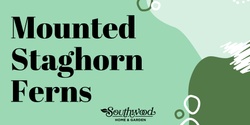 Banner image for Mounted Staghorn Ferns with Southwood Home & Garden