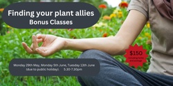 Banner image for Finding your Plant Allies - 3 week bonus