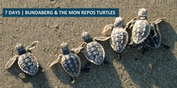 Banner image for Bundaberg & The Mon Repos Turtles Tour