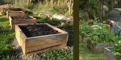 Banner image for Raised bed gardening: hugelkultur, in-ground worm farming and biodynamic methods (to be rescheduled after lockdown)