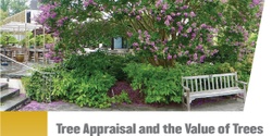 Banner image for Introduction to Tree Appraisal 24