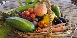 Banner image for Ecoburbia At Home BASIC FOOD GARDENING