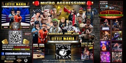 Banner image for Binghamton, NY -- Little Mania Events Presents: Micro Agression!