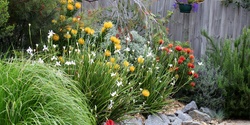 Banner image for Water Wise Gardening and Biodiversity in Your Yard or Verge with Ecoburbia
