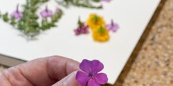 Banner image for CREATE! Flower Pounding Workshop