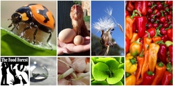 Banner image for Organic Vegetable Growing and Free-Range Poultry workshop- 1 day