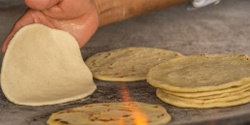 Banner image for Authentic Mexican Cooking Class in Brisbane: Tortilla-making and Cactus Tacos!