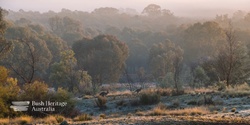 Banner image for Tarcutta Hills Reserve, NSW.   Guided Visit - Friday 3 May 2024
