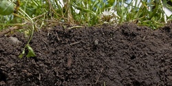 Banner image for POSTPONED - Climate Change - Can Regenerating Soils and Landscapes Save the Day
