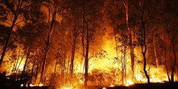 Banner image for Fire and Biodiversity Planning On Your Property