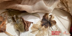 Banner image for Botanical Imprints: Exploring Nature's Patterns on Fabric and Paper