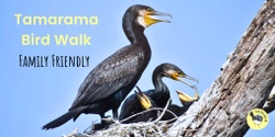 Banner image for Family Friendly Bird Walk in Tamarama - August