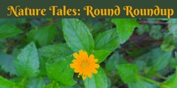 Banner image for Nature Tales: Round Roundup