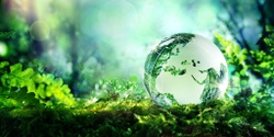 Banner image for Translating Sustainability into Strengthening a Company and Its Future	