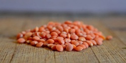 Banner image for Struggling with Lentils: an Immersive Theatre Installation