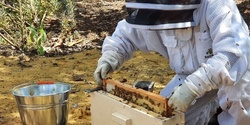 Banner image for Beekeeping for Beginners