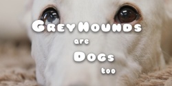 Banner image for Greyhounds are dogs too - A short documentary premiere