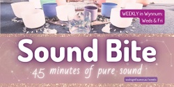Banner image for Sound Bite - 45 minute lunch time sound bath