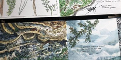 Banner image for Nature Journaling with Julie Brett - Term 4