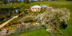 Banner image for Sophie's Patch Open Garden Spring 2021