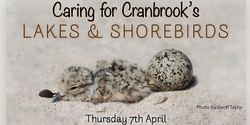 Banner image for Caring for Cranbrook's Lakes and Shorebirds
