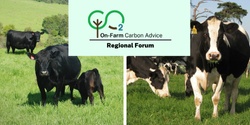 Banner image for On-Farm Carbon - Regional Forum - Bega