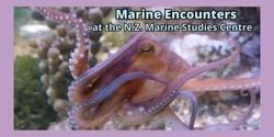 Banner image for Marine Encounters at the N.Z. Marine Studies Centre