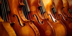Banner image for Lunchtime Concert - Recital by Performance String Students
