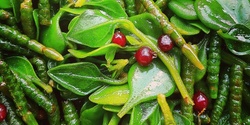 Banner image for Discover Urban Foraging