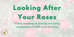 Banner image for Looking After Your Roses 2024