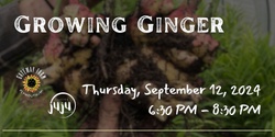 Banner image for Growing Ginger 