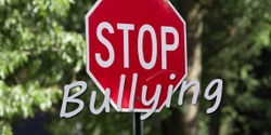 Banner image for Bullyproofing the learner experience | A Toolkit for Educators | 9 Jul 2024