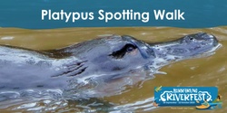 Banner image for Platypus spotting walk