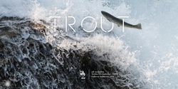 Banner image for The Trout