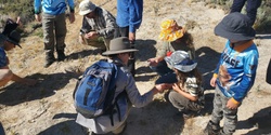 Banner image for Family Turtle Nest Survey - Lake Bonney, Barmera