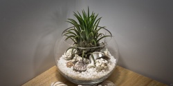 Banner image for Christmas Gift Workshop: Make your own Terrarium 