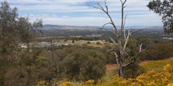 Banner image for Wagga Road Volunteer Morning