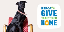 Banner image for RSPCA Queensland’s Give To Get Them Home Appeal Mackay 2023
