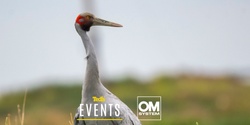 Banner image for Wings Over Werribee: Bird Photography Workshop with OM SYSTEM
