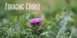 Foraging Course Summer 2022