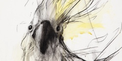 Banner image for Drawing Australian Birdlife (1 day workshop)