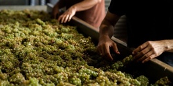 Banner image for Expression of Riesling: A Masterclass [WA]