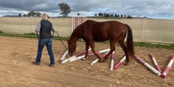 Banner image for August Aussie Obstacles & Horsemanship Mini Challenge